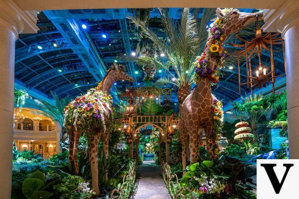 Family Fun: Kid-Friendly Activities and Attractions in Vegas